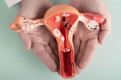Open Surgical Procedures 